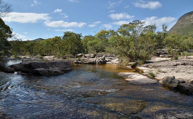 MP-BA DENUNCIA ACUSADOS DE DESTRUIR PARQUE DE CONSERVAÇÃO NA CHAPADA DIAMANTINA » Pimenta - Vimarsana News